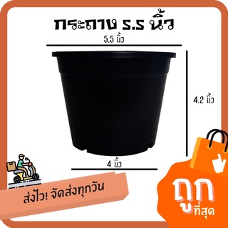 [มีโค๊ดส่วนลด60บาท] กระถางกลมดำ 5.5นิ้ว อย่างดี พร้อมส่ง By.คิม เกษตรเงินล้าน