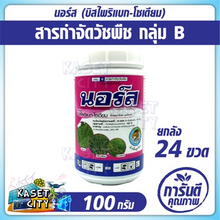 นอร์ส (บิสไพริแบก-โซเดียม) 100 กรัมx24 (ยกลัง) สารกำจัดวัชพืช ใน นาข้าว หว่านแห้ง เช่น หญ้านกสีชมพู หญ้าขาวนก หญ้าดอกขาว