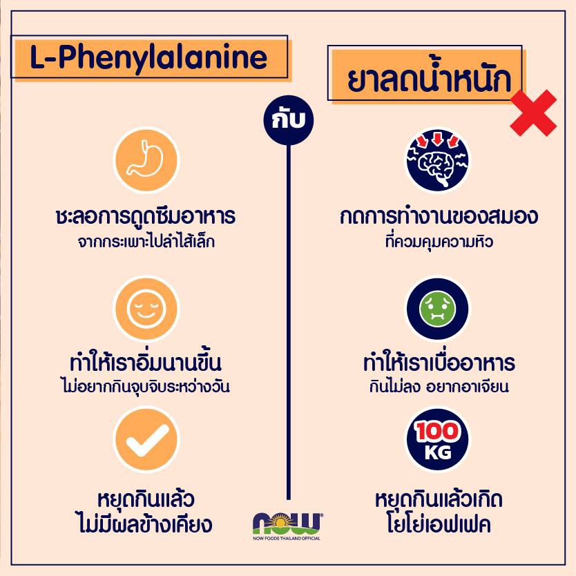 เซ็ตดูแลสุขภาพ Now Foods Set (Acety-L- Carnitine L-Phenylalanine Green ...