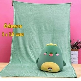หมอนผ้าห่มตุ๊กตาอิงหลัง ผ้าห่มนาโน 1x1.6 m ตุ๊กตาสูง 40 cm หมอนตุ๊กตาลายปักอย่างดี ผ้านุ่มมาก doll ZumoIX