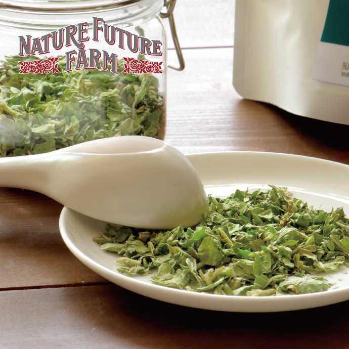🌿 ผักกะเพราออร์แกนิคฟรีซดราย | Organic Freeze-Dried Holy Basil 🌿Natural & Premium
