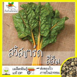 เมล็ดพันธุ์ สวิสชาร์ด สีส้ม 50 เมล็ด Orange Swiss Chard Seed เมล็ดพันธุ์แท้ นำเข้าจากต่างประเทศ ปลูกง่าย โตไว พืชผัก