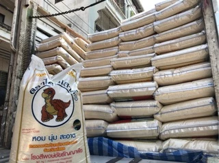 ข้าวใหม่ต้นฤดู ข้าวหอมมะลิ ตรา ไดโนเสาร์ 15 กก. ของแท้ 100% ของใหม่พึ่งผลิต ข้าวไดโนเสาร์