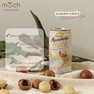 นมแมคคาเดเมีย Macadamia Milk Much สเตอริไลซ์ จากแมคคาเดเมีย 100% แพ็ค 6 กระป๋อง