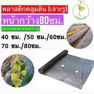 พลาสติกคลุมดิน พลาสติกเงินดำ พลาสติกคลุมแปลง หน้ากว้าง80cm. ยาว400หลา(360เมตร)💥เจาะรู💥