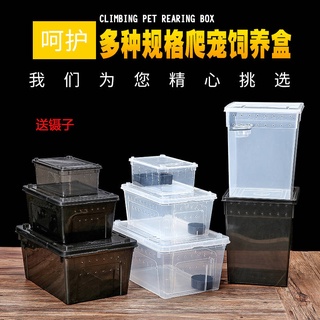 Reptile Spider Feeding BOX ด้วงหอยทากแมลง SCORPION Palace GUARD จิ้งจกเต่า silkworm Baby Horn กบให้อาหารกล่อง