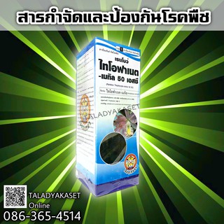 ส่งฟรี 💥 ไทโอฟาเนต-เมทิล 50%  สูตรครีม ป้องกันและรักษาโรคพืชได้กว้างขวางและยาวนาน ครอบคลุมทุกโรคพืช ขนาด 1 ลิตร