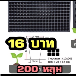 #ถาดเพาะกล้า200 หลุม  ขายยกชุด. ❌❌ชุดละ30แผ่น❌❌