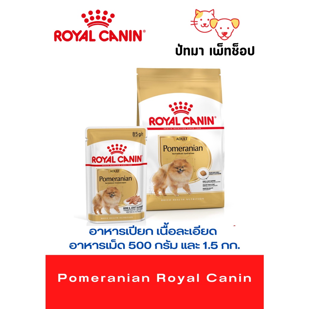 Pomeranian / Royal Canin