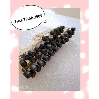 Fuse T2.5A 250V  5ชิ้น/1ชุด