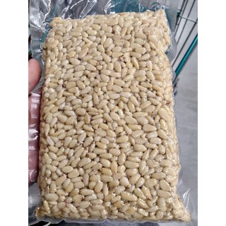 ไพน์นัท ดิบ/เมล็ดสน ครึ่งกิโล Pine Nut Premium Grade