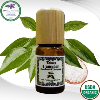 Camphor Essential Oil  樟脳エッセンシャルオイル น้ำมันหอมระเหย การบูร