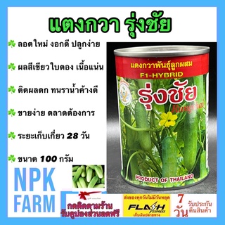 แตงกวารุ่งชัย ขนาด 100 กรัม เมล็ดพันธุ์ แตงกวา ลอตใหม่ ผลสีเขียวใบตอง เนื้อแน่น น้ำหนักดี ทรงกระบอก ผลยาว 10-12 ซม.