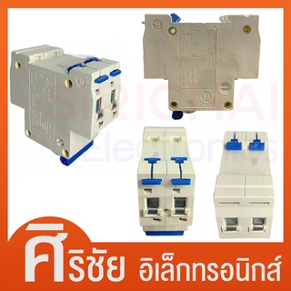 เบรคเกอร์ DC 2P20A,  2P32A, 2P63A (500VDC CS)