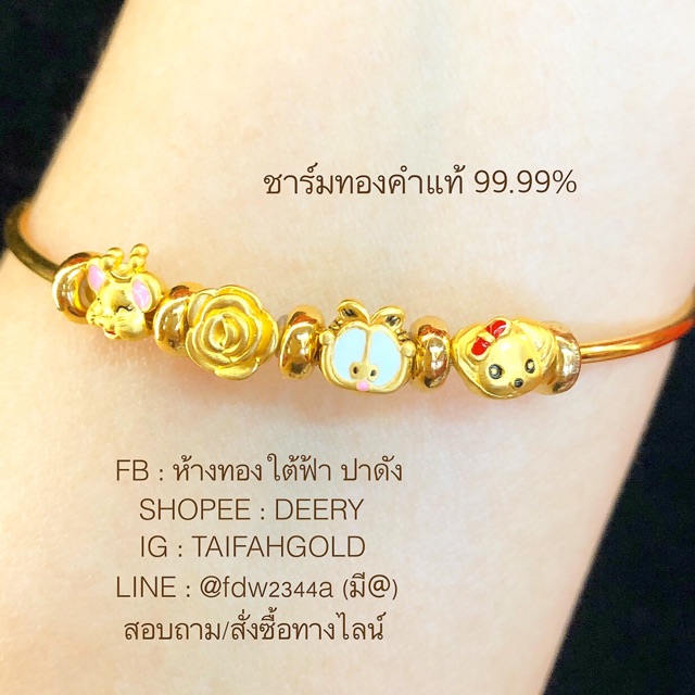 ชาร์มจิ๋ว ทองคำแท้ 99.99% (A1-C6) - Deery - Thaipick