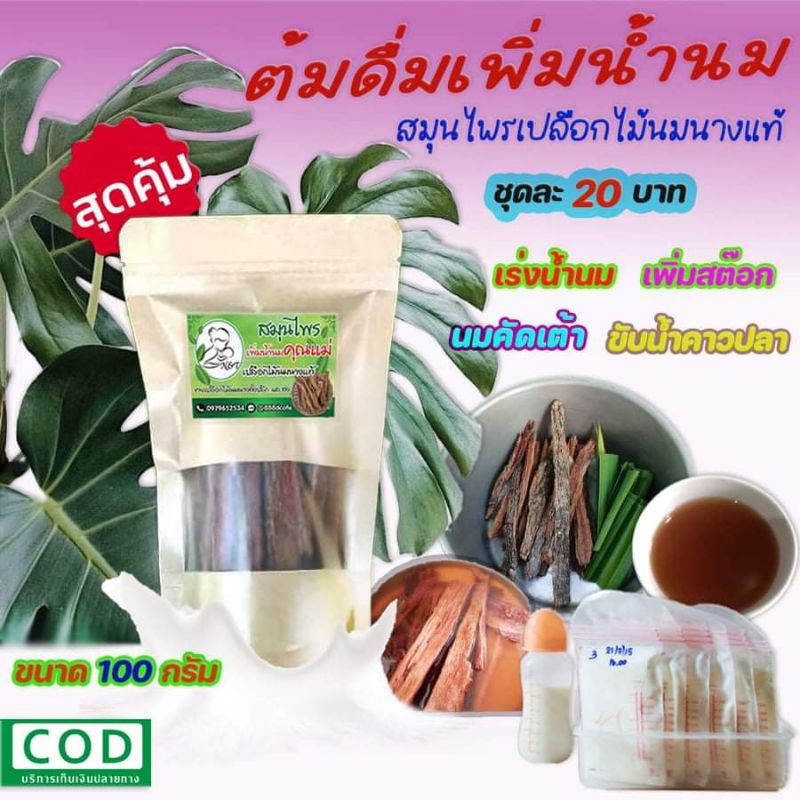 ️เปลือกไม้นมนาง เร่งน้ำนม เพิ่มสต๊อกน้ำนม ขับน้ำคาวปลาซองละ20บาท  บรรจุ100กรัมสมุนไพรเพิ่มน้ำนมคุณแม่ - Joey.555 - Thaipick