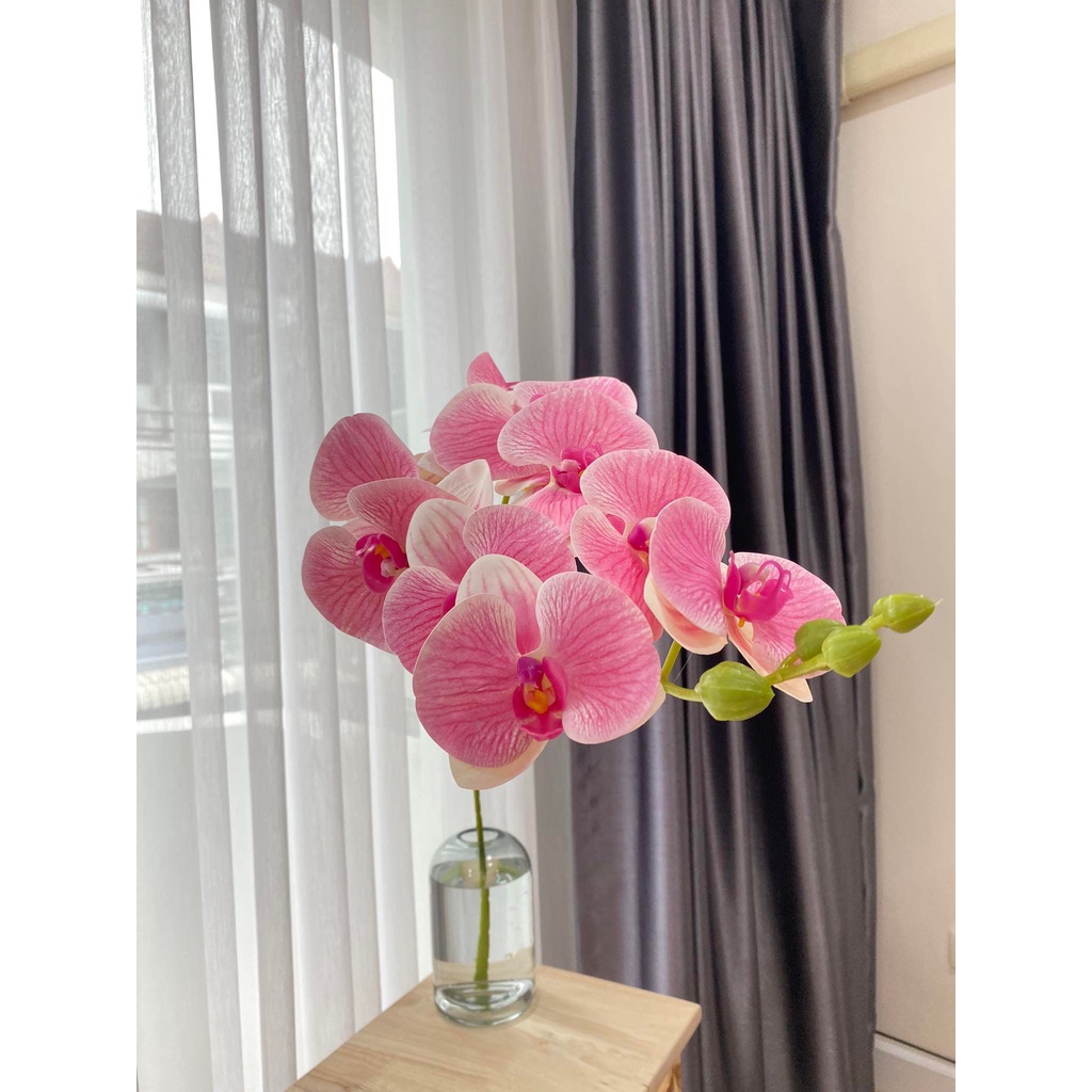 NG2 ช่อกล้วยไม้ฟาแลนด์ใหญ่ 9ดอก [สูง105 ซม.]
