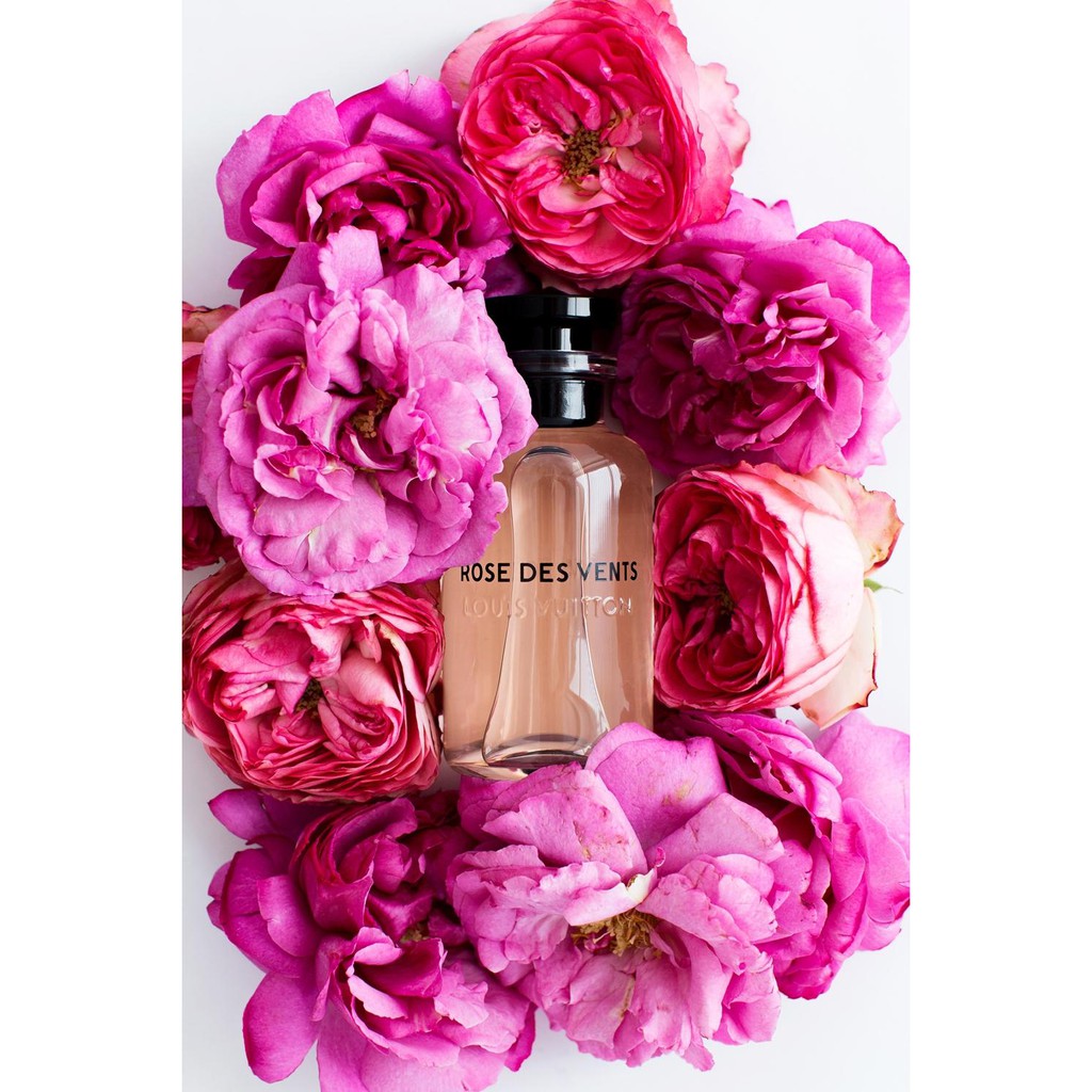 louis vuitton rose des vents amazon