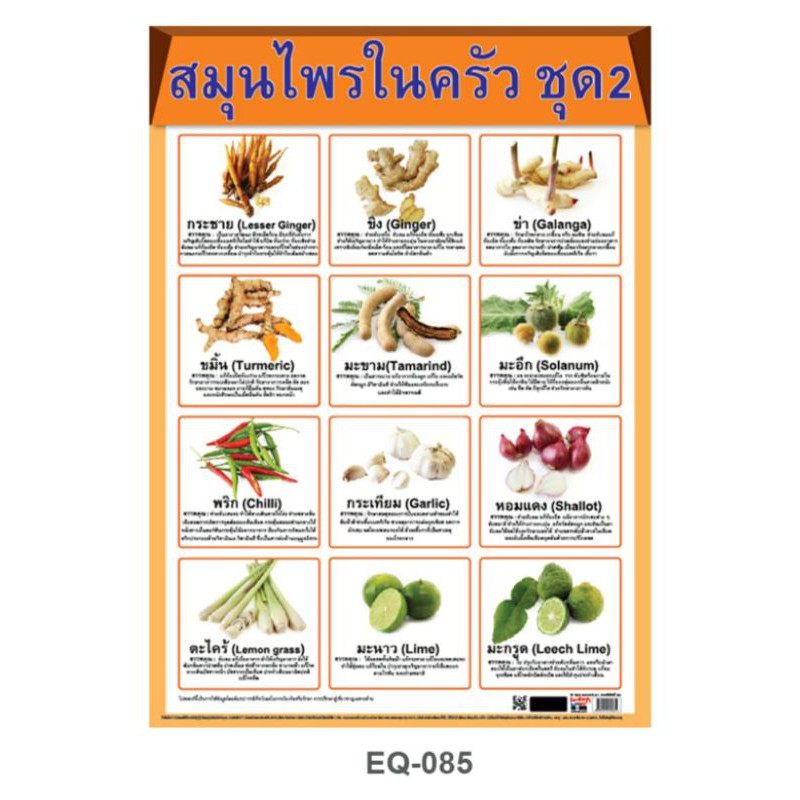 สมุนไพรในครัว  โปสเตอร์กระดาษหุ้มพลาสติก