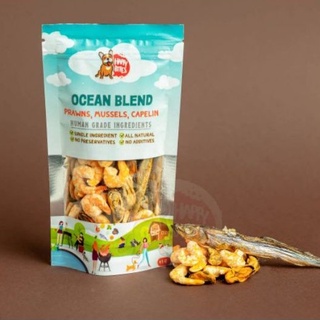 ขนมฟริสดราย สูตรกุ้งขาว หอยแมลงภู่ ปลาไข่ Ocean Blend ไม่มีแป้ง สารอาหารครบในถุงเดียว ขนมสัตว์เลี้ยง ขนมสุนัขเพื่อสุขภาพ