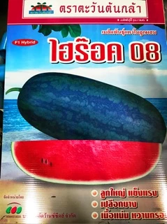 แบบซอง 40กรัม ไฮร๊อค 08แตงโม ตอปิโด 40กรัม ตราตะวันต้นกล้า ไฮร็อค08 แตงโมตอปิโด