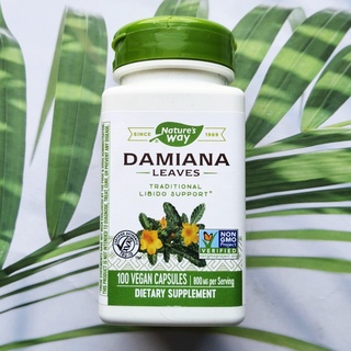 ใบแดมเมียนา Damiana Leaves 400mg 100 Vegetarian Capsules (Natures Way®) เพิ่มสมรรถภาพทางเพศ เพิ่มพละกำลัง