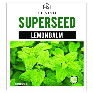 เมล็ดพันธุ์เลมอนบาล์ม ชัยโย 380 เมล็ด LEMON BALM 380 SEEDS