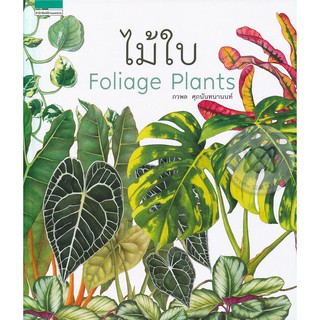 (พร้อมส่ง) ไม้ใบ Foliage Plants