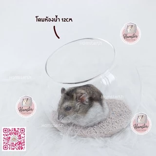 [Hamsterth] โดมใส ห้องน้ำ ห้องนำ้แก้ว สำหรับสัตว์เลี้ยง แฮมสเตอร์ แฟตเทล ดอเม้าท์