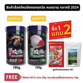 Kenta Gold Fish [แถม2] อาหารปลาทอง เคนตะ สูตรขับลม ป้องกันปลาท้องอืด &amp; สูตร เร่งโต โปรตีนสูง ย่อยงาย (เลือกขนาดในรายการ)