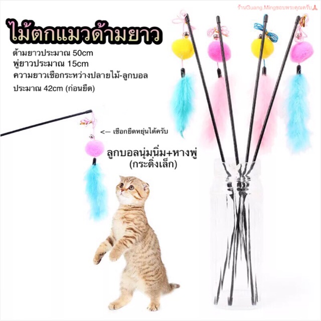 ของเล่นแมว ไม้ตกแมว ไม้ล่อแมวยาว (🇹🇭พร้อมส่ง📦)