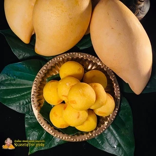 [ ขายดีมาก อร่อยมากๆ ] ขนมลาดูมะม่วงนมสด ถวายพระพิฆเนศ องค์เทพเทวา แถมฟรี!! เทียน กำยาน (กล่อง 3 ชิ้น ขึ้นไป)