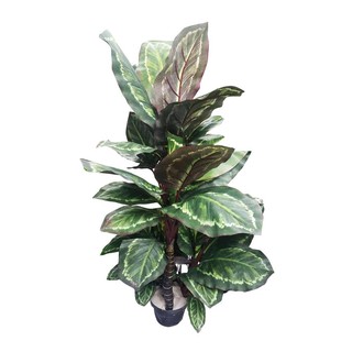 Artificial tree ARTIFICIAL DUMB CANE SPRING 100CM Garden accessories Garden decoration accessories ต้นไม้ประดิษฐ์ ต้นสาว