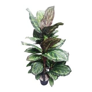 Artificial tree ARTIFICIAL DUMB CANE SPRING 100CM Garden accessories Garden decoration accessories ต้นไม้ประดิษฐ์ ต้นสาว