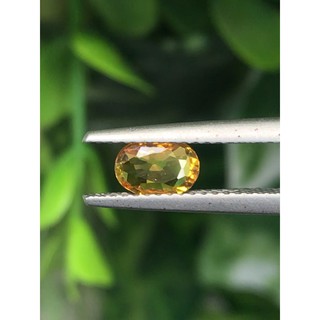 พลอย บุษราคัม (Yellow Sapphire) 0.75 กะรัต (Cts.)