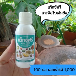 กิฟฟารีน สารจับใบสูตรใหม่ แว๊กซ์ฟรี WAX FREE สารเสริมประสิทธิภาพซึมผ่านใบไม่ต้องการระยะเวลาปลอดฝนแต่ขณะฉีดพ่นฝนต้องไม่ตก