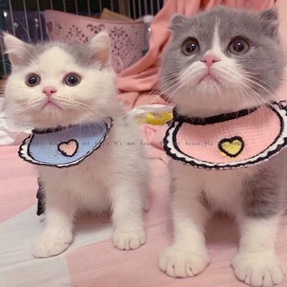 Hi Pet  Cat saliva towel  ปลอกคอ ผ้ากันเปื้อนแมวและสุนัข สำหรับสัตว์เลี้ยง