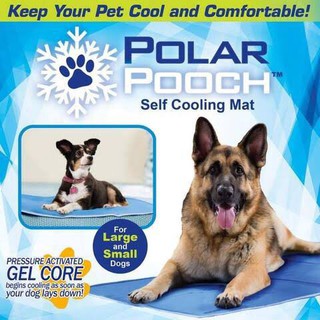 ที่นอนเจลเย็นสำหรับสุนัข POLAR POOCH เหมาะสำหรับสุนัขและแมว หน้าร้อน