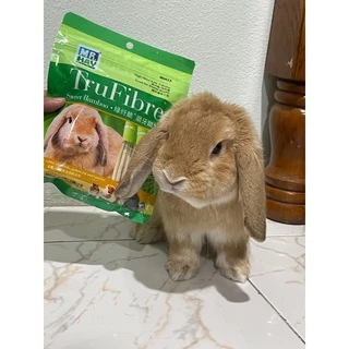 ร้านโทโมะ💕 Truefibre ไม้แอปเปิ้ล ไผ่หวาน ลับฟัน แฮมสเตอร์ ชินชิลล่า กระต่าย เจอร์บิล กระรอก ชูการ์