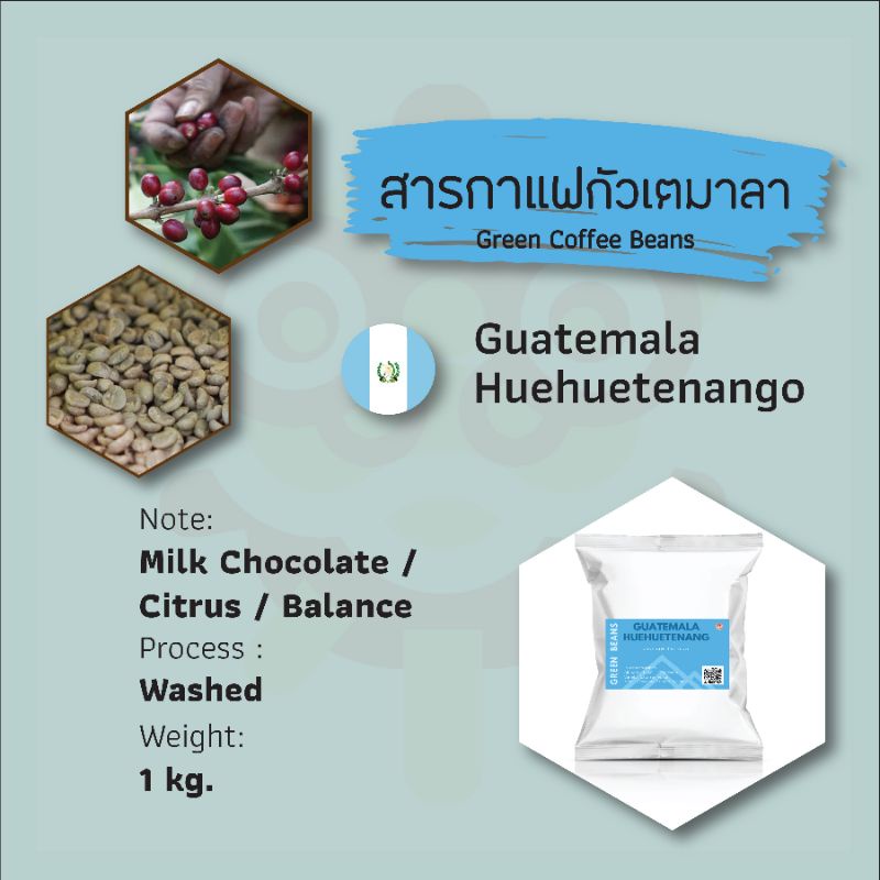 สารกาแฟกัวเตมาลา Guatemala Huehuetenango SHB EP Green Coffee Beans 1 KG [พร้อมาส่ง] #กาแฟกัวเตมาลา #