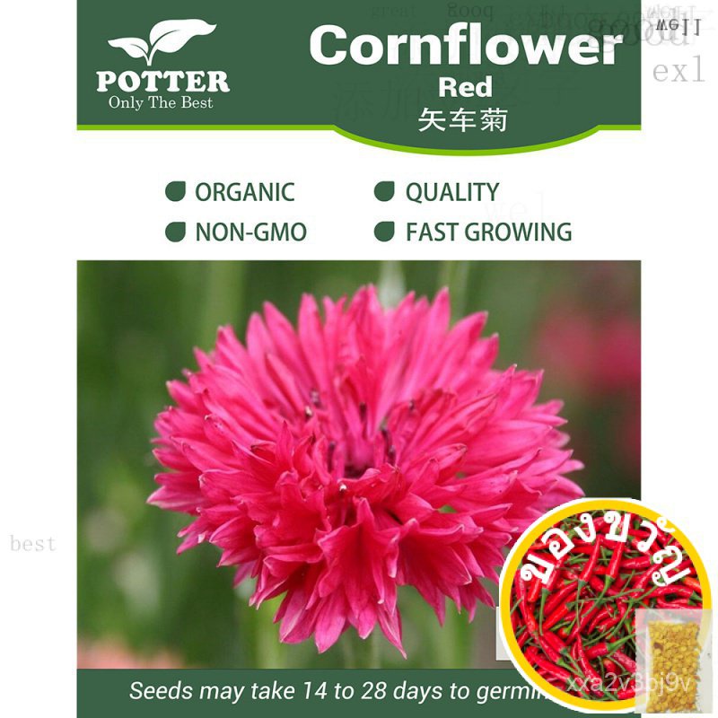 เมล็ดพันธุ์ดอกคอร์นฟลาวเวอร์สีแดงจำนวน10เมล็ด [Local Seller! จัดส่งด่วน!] เมล็ด Ed seeds YYUY