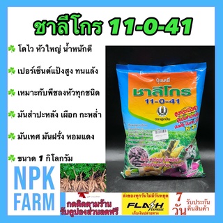 ชาลีโกร (11-0-41) 1 กิโลกรัม ปุ๋ยระเบิดหัวมันทุกชนิด มันสำปะหลัง หอมแดง หัวหอม เผือก เร่งแป้ง หัวใหญ่ ทนแล้ง น้ำหนักดี