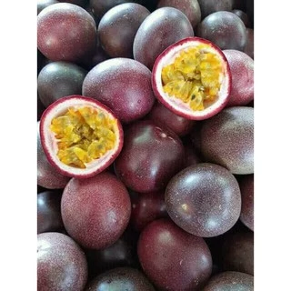 ต้นเสาวรสม่วงไทนุง/ซื้อ 5 แถม1ถุง/ผลสีม่วงรสหวาน