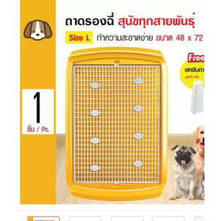 ถาดรองฉี่สุนัข สำหรับสุนัขทุกสายพันธุ์ Size L ขนาด 48x72 ซม. แถมฟรี! เสาปัสสาวะถอดได้ สีเหลือง