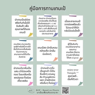เทมเป้ถั่ว 3 สี(เหลือง ดำ แดง) (Triple bean Tempeh) ✨ เทมเป้พร้อมทาน โปรตีนสูง ขนาด 150g. เจ อาหารเจ วีแกน มังสวิรัติ