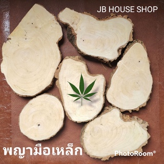 เขียงพญามือเหล็ก 🪵ออแกนิค 🌿🍃 พร้อมส่ง!! เขียงสายเขียว สายสมุนไพร สายยำ 🔪 ห้ามพลาด