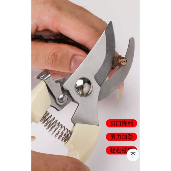 กรรไกรตัดกิ่ง Pruning shears พร้อมส่ง