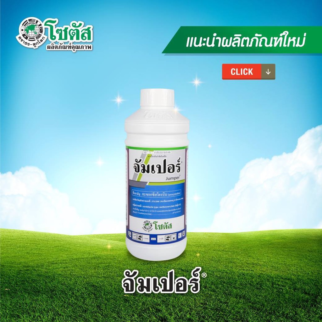 จัมเปอร์ ขนาด 1 ลิตร ( อะซอกซีสโตรบิน25%) กำจัดกุ้งแห้ง แอนแทรคโนส กาบใบแห้ง