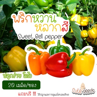 เมล็ดพันธุ์พริกหวานหลากสี 20เมล็ด อัตราการงอก95% ปลูกง่าย(แถมฟรี เมล็ดผักทุกออเดอร์)