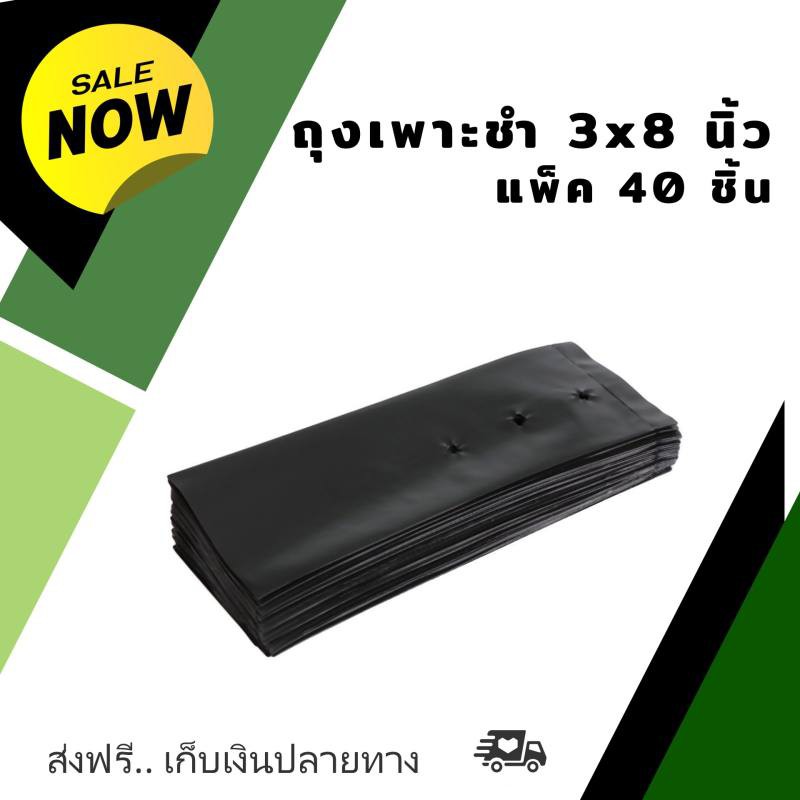 กระถางต้นไม้ กระถางต้นไม้พลาสติก ถุงเพาะชำ ARAI 3x8 นิ้ว 200 กรัม แพ็ค 40 ชิ้น พลาสติก PE หนียวยืดหย